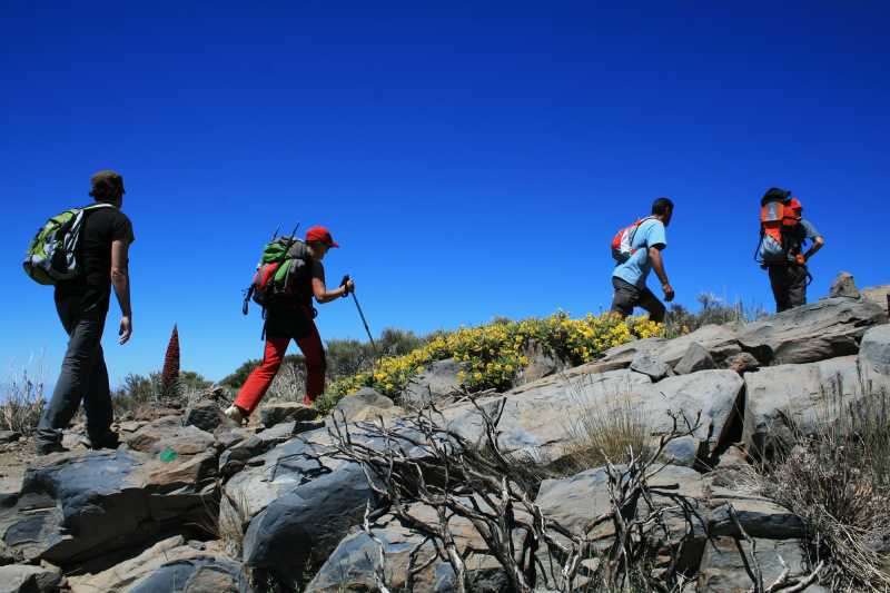 Beyond the Obstacle
